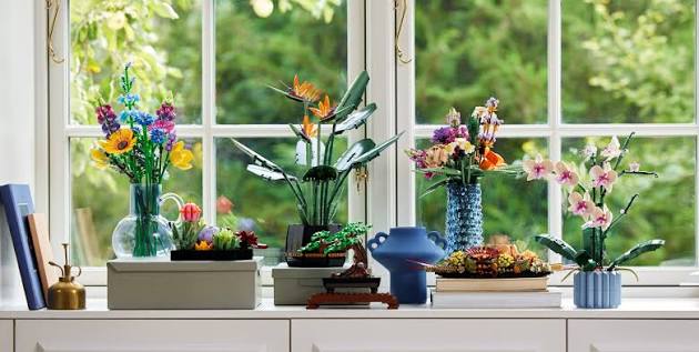 Botanicals