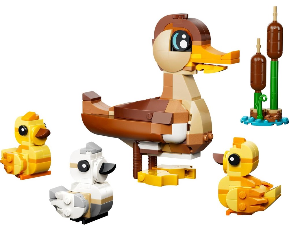Duck Family | 40885 | Creator
